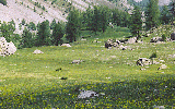 Parc National du Mercantour